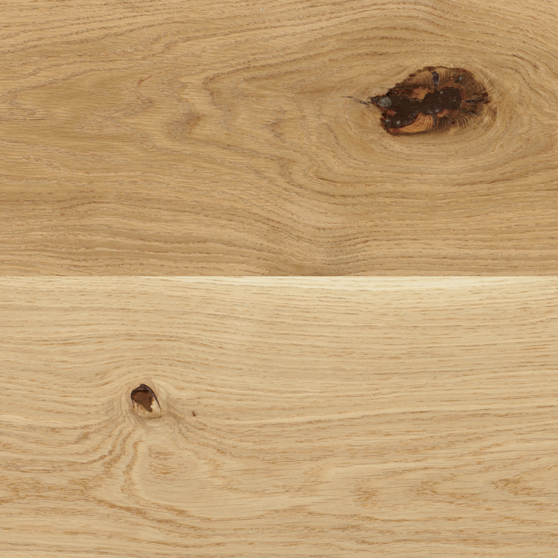 baltic_wood_wademecum_drewna_sorty_drewna_dab_superrustic