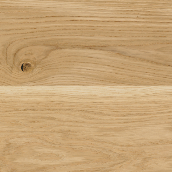 baltic_wood_wademecum_drewna_sorty_drewna_dab_unique