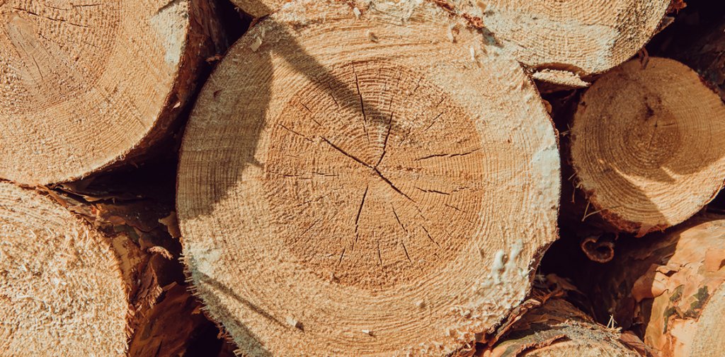 baltic_wood_o_nas_quality_baltic_dab_02